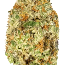 oreoz weed strain